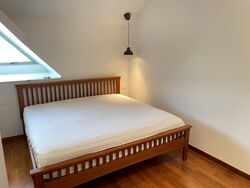 Loft @ Rangoon (D8), Apartment #595866681